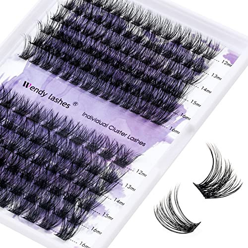 Faux Cils Individuels D Curl 0.07mm DIY Cluster Cils Volume Russe Mixte 12-16mm C3+C9 Naturels Cluster Extensions de Cils Individuels Bouquet Lashes Effet 3D Cluster Eye Lashes(C3+C9-D-MIX12-16)