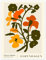 Flower Market Copenhagen Poster von NKTN 50 x 70 cm Orange Wandbilder Wanddeko