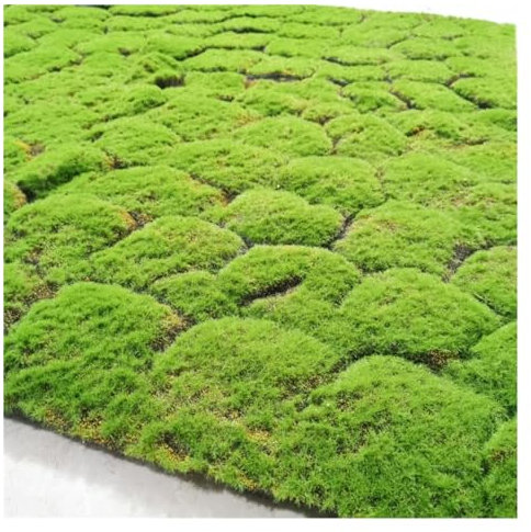 AFGZQ Künstliche Moosmatte Falscher Rasenteppich, DIY-Kunstrasen-Landschaft Kunstrasenmatten Rasenteppich for Garten, Terrasse, Balkon, DIY Dekoration (Color : No. 1, Size : 1x1M)