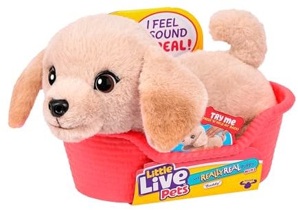 Little Live Pets My Really Real Puppy Minis- Buddy the Retriever| Interactive Puppy with 20+ Sounds & Reactions- Includes Basket for Display. Fun & Adorable Gift for Kids (11cm/4.3in tall)