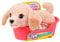 Little Live Pets My Really Real Puppy Minis- Buddy the Retriever| Interactive Puppy with 20+ Sounds & Reactions- Includes Basket for Display. Fun & Adorable Gift for Kids (11cm/4.3in tall)