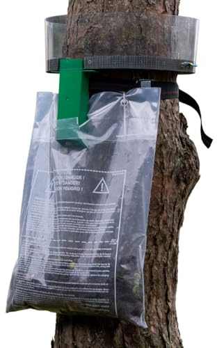 Falle gegen Raupen im Prozessionssektor – Umfang max. 94 cm