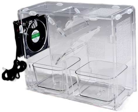 Conteneur de Stockage de graines d'oiseaux, coquilles soufflant Transparentes, Petite Machine, Accessoires mangeoire à Oiseaux, Facile à Nettoyer et Amovible, processeur graines alimenté par US