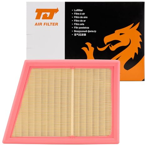 TJ Filters Car Engine Air Filter QFA0968 OEM Matching Quality, Exact-Fit Replacement Fits BMW