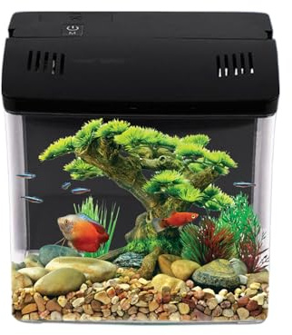 Acquario Da Scrivania | Acquario Per Gamberetti Con Filtro - Per Animali Domestici Per Rane Gamberi Tartarughe Barriera - Per Anfibi E Tartarughe Acquatiche