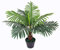 Künstliche Palme mit Topf ca. 60 cm hoch Kunstpflanze künstliche Pflanze Kunstbaum Kunstpalme Baum Bäumchen Blume Kunstblume Deko Dekoration Geschenk (JWP231)