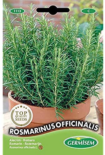 Germisem Rosmarinus Officinalis Semillas de Romero 0.3 g (EC1113)