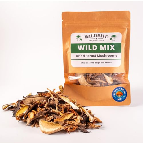 Premium Dried Mixed Forest Mushrooms - 2024 Season, Hand Foraged from Wild Forests, Culinary Ingredient