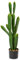 Oairse 82 cm Planta Artificial de Cactus Plantas Grandes Artificiales Grandes en Maceta Plantas decoración Euphorbia accruensis Cactus Cactus Artificial para el hogar, ja