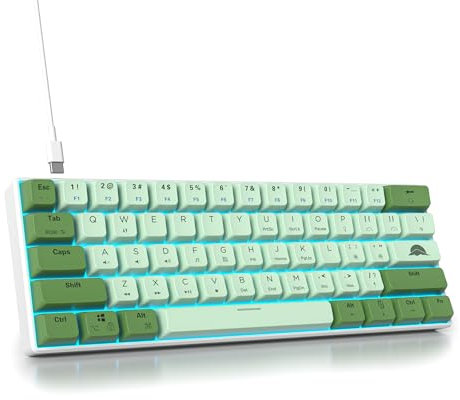 SbocKeeb Gaming Tastatur 60 Prozent, Wired RGB Mechanische Tastatur America QWERTY, Mini 61 Tasten USB Tastatur Anti-Ghosting für PC Gamer Typist(GS61 RGB-61 Matcha)