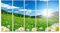 islandburner Bild auf Leinwand Frühling In Den Alpen Mit Blumen Und Himmel Wandbild Poster Kunstdruck Bilder