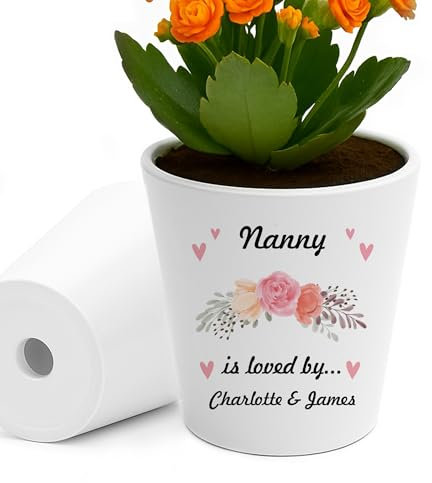 RED OCEAN Personalised Nanny Gifts For Birthday Christmas Plant Pot Nanny Is Loved By Gifts For From Grandchildren Unique Garden Gift Ideas