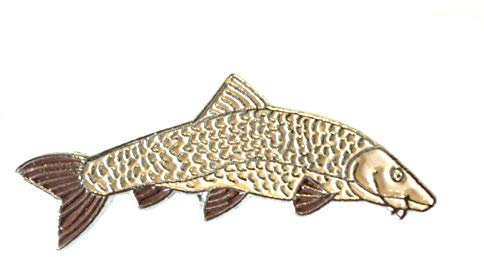 Anstecknadel Barbel Fisch Emaille Metall