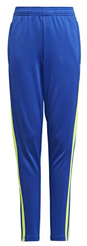 Adidas Squadra21 Sporthose Royblu/Tmsoye 152