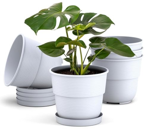 Plastard Blumentöpfe 5er Set 20 cm Durchmesser mit Untersetzer aus Kunststoff Weiß runder Pflanzkübel witterungsbeständiger Übertopf große Blumentöpfe