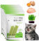 Chew Sticks for Cats Natural Grass Molar Sticks Cat Grass Sticks Cat Grass Chew Sticks Cat Grass Sticks for Home Cats Chew Toy for Cats for Dental Care Teeth Cleaner (5PCS)