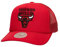 Mitchell & Ness NBA Evergreen Trucker Cap Chicago Bulls