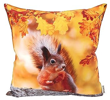 CB Home & Style Outdoor Garten Kissen Wasserabweisend Wasserfest 45 x 45 cm mit Füllung (Herbst17)