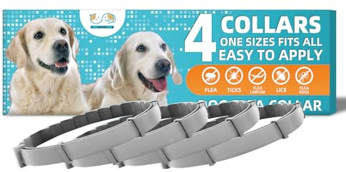 4 Collier Anti-puces et Anti-tiques pour Chiens et Chats Collier Anti-puces pour Chiens Collier Anti-parasites pour Chiens de Plus de 8 kg, Collier Anti-puces pour Chiens de Plus de 63 cm.