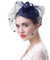 Fascinators Hut Elegant Kopfbedeckung Federn Mesh Stirnband Hochzeitskirche Haarschmuck Haar Schleier Cocktail TeaParty Haar Clip Accessoires für Karneval Kostüm Fasching Blumen Weihnachten Halloween