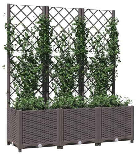 Kavolet Pot de fleurs avec treillis marron 120 x 40 x 136 cm PP - Treillis de jardin - Jardinière à fleurs - Treillis - Pot de fleurs