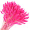 Songjum 120 Stück Getrocknete Blumen Hasenschwänze Pampasgras Natürlicher Kaninchenschwanz Getrockneter Blumenstrauß Pampasgras Dekor für Wohnkultur Boho Zuhause Dekoration Blumen（Rosenrot）