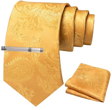 JEMYGINS Herren Paisley Krawatten set mit Krawattenklammer und Einstecktuch,Römischer Feiertags-Mojito mit gelber Mango