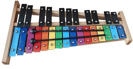 EHJRE Xylophon mit 27 Tönen, Glockenspiel in Voller Größe für Unterwegs, Klassenzimmer, Geburtstagsgeschenk