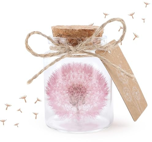 XIANNVXI Wunscherfüller Pusteblume im Glas Echte Pusteblume Deko Geburtstag Geschenkideen für Frauen Deko Geschenke im Glas Blumen Geschenk Wunschglas (Rosa)