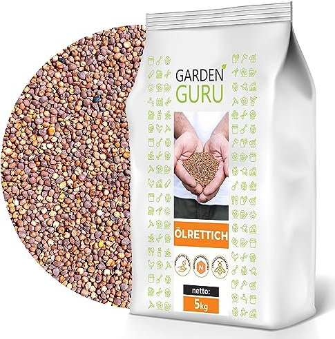 Ölrettich Gründüngung Samen 5000 g Frische Saat 5kg