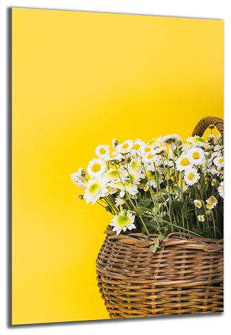 DARO Design - Wand-Bild auf 6mm HDF 40x30 cm Korb Blumen Gänseblümchen - Wand-Deko Bilder Geschenk