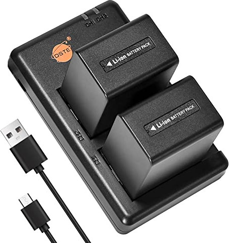 DSTE 2PCS NP-FV100(5700mAh/7.4V) Batterie Chargeur Compatible pour Sony DCR-SR15,SR21,SR68,SR88,SX15,SX21,SX44,SX45,SX63,SX65,SX83,SX85,HDR-CX105, CX110,CX115,CX130,CX150 Caméra
