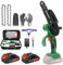 Mini Motosega a Batteria Goldsea 2 Batteria 21V 800W Motosega a Batteria per Potatura 6 Pollici Sega a Batteria per Potatura per il Giardinaggio Potatura Albero Taglio del