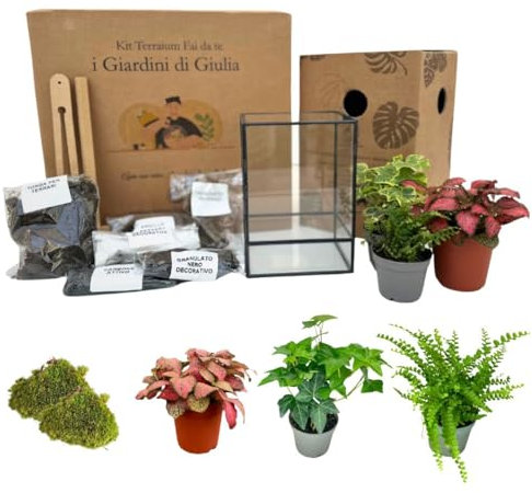 I GIARDINI DI GIULIA - Kit Terrarium DIY | Contenedor Geométrico de Vidrio y Hierro | Incluye 3 Plantas y Sustratos | Ideal para Diseño de Interiores, Negro y Transparente