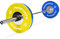 OLYMPIA SET PROFESSIONAL STUDIO - Olympia Hantelstange mit Verschluss + Gewichtsscheiben auswählbar - Olympia Hantelscheiben (Olympia Stange inkl. Verschlüsse + 70 kg)