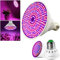 Ampoule de culture d'intérieur 200 LED avec flexibilité pour un entretien optimal des plantes