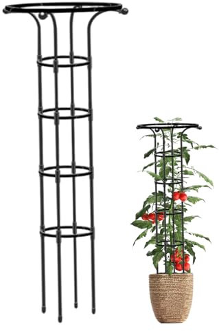 Hbbgdiy Garden Trellis for Climbing Plants 61 Inch Metal Obelisk Trellis with Umbrella Shape for Roses, Vines, Vegetables and Outdoor Vertical Garden Support
