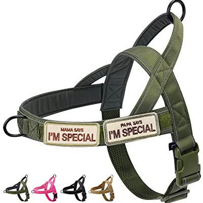 Eeyfarog No Pull - Arnés para Perros pequeños y medianos Reflectante, Ajustable, sin tirón, arnés para Perros