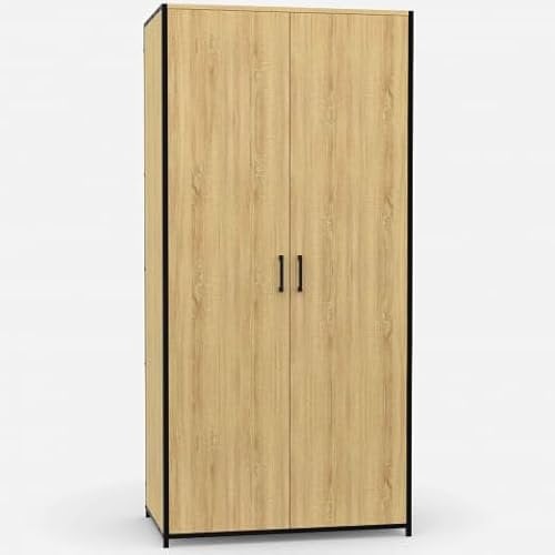 IDMarket – Armario de 2 puertas DETROIT armario de 80 cm con estantes de almacenamiento máximo capacidad
