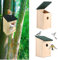 ADEPTNA 2 Pack Wooden Bird Nesting Box - Eco-Friendly, Weatherproof Birdhouse for Small Wild Birds like Blue Tits, Robins, Sparrows, and Great Tits Durable Bird House for Garden