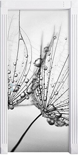Stil.Zeit Möbel Monocrome, Pusteblumen mit Tautropfen als Türtapete, Format: 200x90cm, Türbild, Türaufkleber, Tür Deko, Türsticker