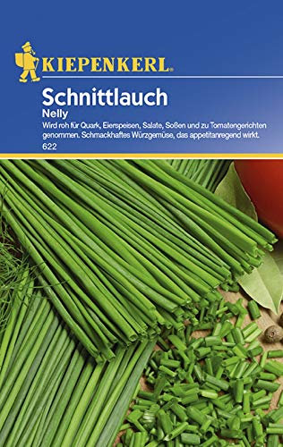 Kiepenkerl Schnittlauchsamen Nelly 622 - Kräutersamen, mehrjährig winterhart, feine Blätter, würziges Aroma, ideal für Quark, Eierspeisen, Suppen, Gemüse, Saatgut für 200 Pflanzen