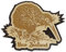 Printtoo Souvenir New Zealand Kiwi Bird Engraved Wooden Fridge Magnet