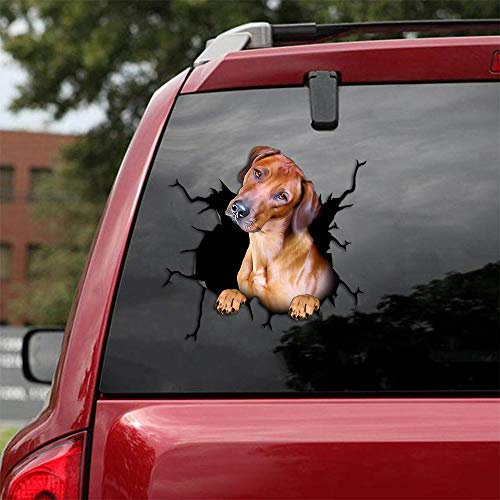 Ocean Gift Rhodesian Ridgeback Autoaufkleber, Hunde-Autoaufkleber 2 Stück - Realistische Rhodesian Ridgeback Aufkleber für Autofenster, Wände Serie 77, Größe 30,5 x 30,5 cm