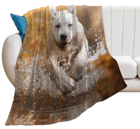 QUEWIQR Flanell-Decke Labrador-Retriever-Hund Fleecedecke Plüschdecken Weiche Decke Für Couch Bett Sofa 76x100cm