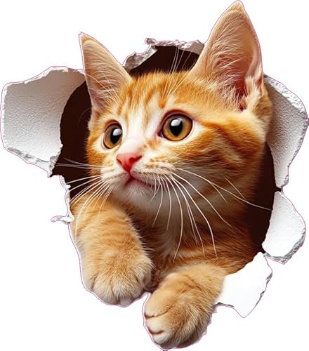 x4 Ginger Kitten Vinyl Stickers Cover Marks Non Transparent Waterproof Decals 1@20cm Tall & 3@7cm Tall Ideal for Toilet, Car Phone case, Cups & More Savannah Cat