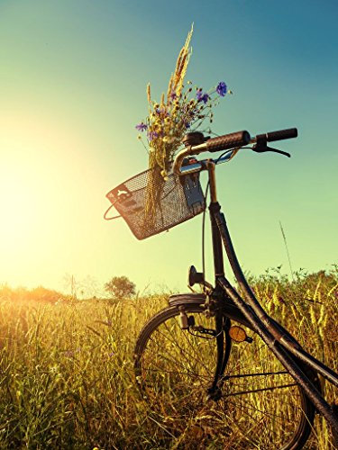 Pixblick - Fahrrad in Sommerlandschaft - Hochwertiges Wandbild - Poster 110x146 cm