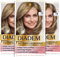 Diadem 3-in-1 Pflege Color Creme 712 Mittel Aschblond, 3er Pack (3x 170ml), ‎permanente Haarfarbe, Haarpflege-Formel für gesund aussehende Ergebnisse, 100 % Grauabdeckung