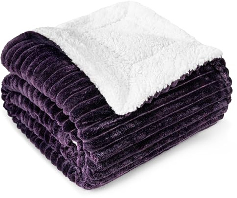 PAVILIA Soft Fleece Sherpa Throw Blanket for Couch Bed Twin, Purple, 60x80 | 480 GSM Warm Plush Striped Reversible Blanket, Cozy Fluffy Flannel Microfiber, Gift for Home Room Decor, Machine Washable