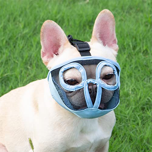 JYHY Maulkorb für Hunde mit abgeflachter SchnauzeFranzösische Bulldogge Maulkorb -verstellbar, atmungsaktiv: Französische Bulldogge, Pekingese, Shih-Tzu, Mops (Blau, L(38-64cm))
